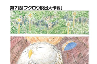 第７話 「フクロウ脱出大作戦」 표지