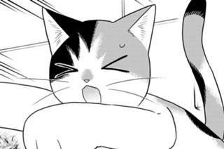【第21話 (1)】ひっかき傷 표지