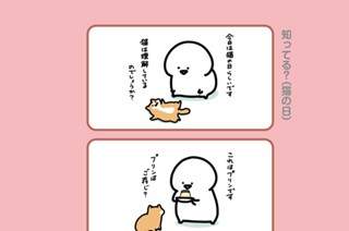 84화 ８４．知ってる？（猫の日） 표지