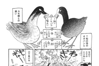 第２７４羽 표지