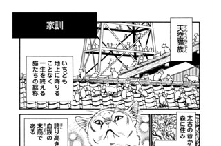プ～ねこ（１７７） 家訓 표지