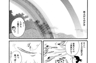第５０８羽 표지
