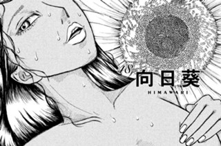48화 ４８ 向日葵 ＨＩＭＡＷＡＲＩ 표지