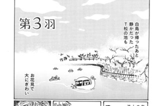第３羽 표지