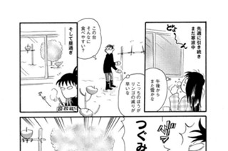 第４３６羽 표지