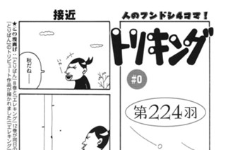 第２２４羽 표지