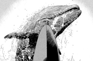 Ｓｔｒｅａｍ：１１６ 頼朝動く！！ 표지