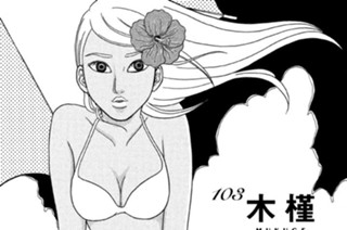 103화 １０３ 木槿 Ｓｙｒｉａｎ ｈｉｂｉｓｃｕｓ 표지