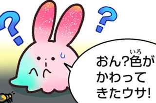 おまけ８ ミイデラゴミムシ 표지