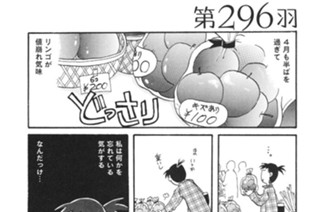 第２９６羽 표지