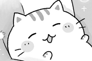 44話 ステキな猫ちがいやで 표지