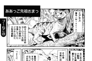 プ〜ねこ（２８） 표지