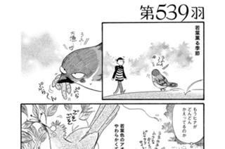 第５３９羽 표지