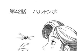 第42話 ハルトンボ 표지