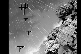 ＃１６５ １か月ぶり。 표지