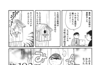 第１９３羽 표지