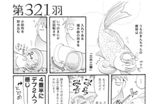第３２１羽 표지