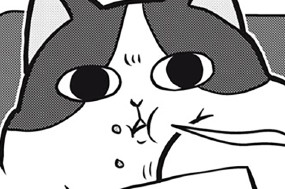 第２９話 猫とダイエット 표지