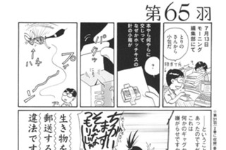 第６５羽 표지