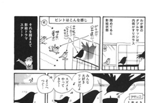 第２８３羽 표지