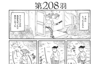 第２０８羽 표지