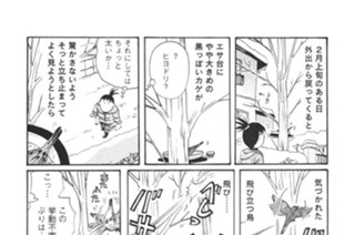 第４２羽 표지