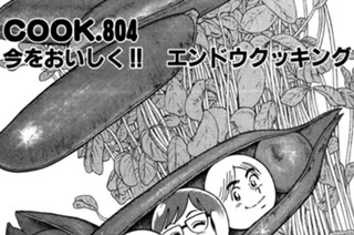 今をおいしく!! エンドウクッキング 표지