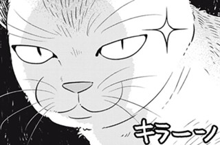 32화 番外編 とある猫の日常 표지