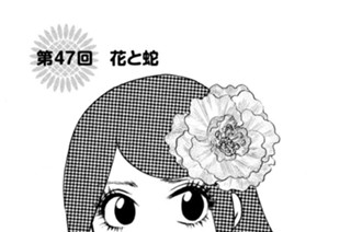 第４７回 花と蛇 표지