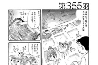 第３５５羽 표지