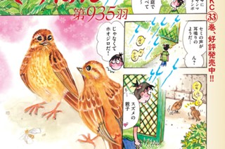 第９３５羽 표지