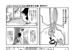 第８９１羽 표지