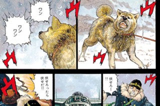 航跡８６ 北海の戦闘 표지