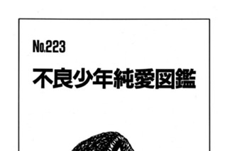 不良少年純愛図鑑 표지