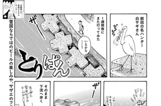 第８０６羽 표지