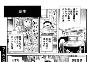 プ〜ねこ（３３） 표지