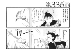 第３３５羽 표지