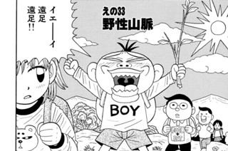えの３３ 野性山脈 표지