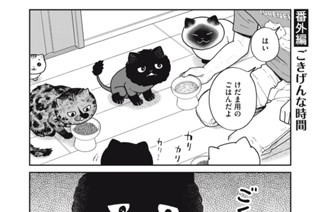 63화 番外編30 표지