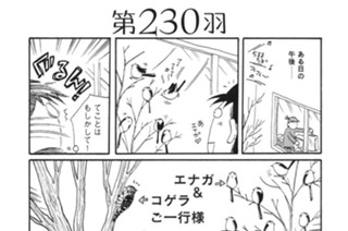 第２３０羽 표지