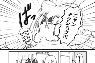 第１４話 猫と寝グセ 표지