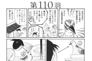 第１１０羽 표지