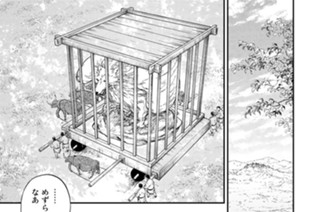 第６章４ 野生の雄 표지