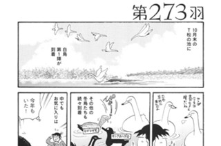 第２７３羽 표지
