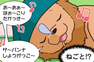 おまけ２ ライオン 표지