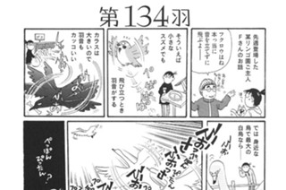 第１３４羽 표지
