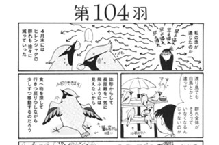 第１０４羽 표지