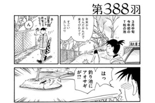 第３８８羽 표지