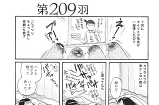 第２０９羽 표지