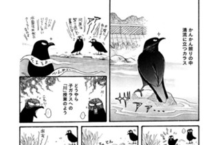第４４８羽 표지